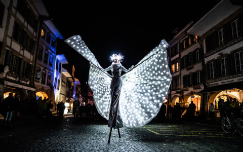 Künstler am Lichterfest in Murten - Tagesausflug inklusive Ticket