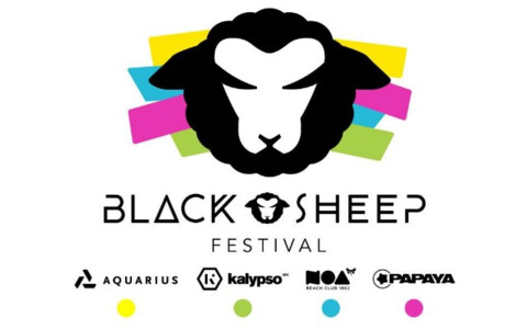 Blacksheep Festival  am zrce Beach in Novalija auf der Insel Pag 