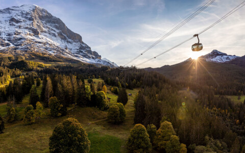 Tagesausflug zum Jungfraujoch Top of Europe - Eigernordwand und Eigerexpress - Tour ab der Regio Olten - Zürich