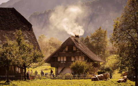 Freilichtmuseum Ballenberg mit alten Bauernhaus