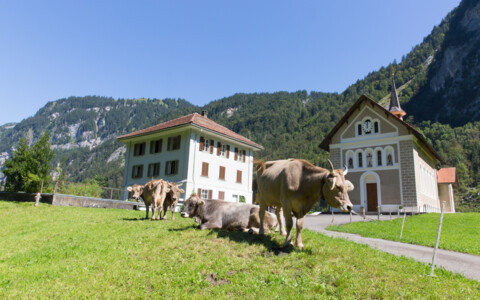 Idyllische Innerschweizer Landschaft im Muota- und Bisisthal - Natur pur und herzliche Gastfreundschaft bei Guido.