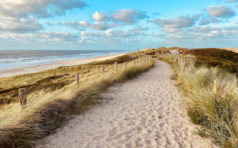 Strand und Leuchtturm in Egmond aan Zee – idyllisches Küstenstädtchen an der holländischen Nordsee.