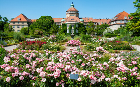 Englischer Garten München mit Spaziergängern und Naturkulisse