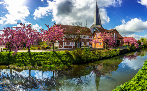 Blühende Obstbäume, Fachwerkhäuser und Kirche im Alten Land bei Hamburg zur Zeit der Obstblüte.