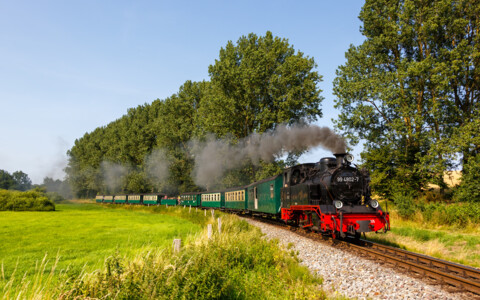 Historische Dampfbahn Rasender Roland unterwegs durch die grüne Landschaft der Insel Rügen.