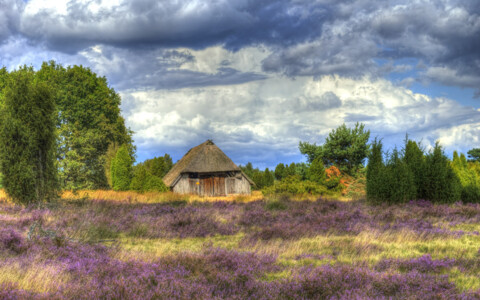 Landschaft Lüneburger Heide