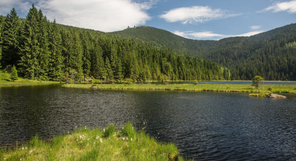 Grosser Arbersee am Großen Arber im Arberland Bayerischer Wald - Busreisen mit Born Reisen