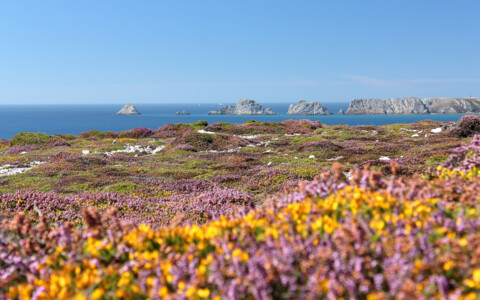 Aussicht auf die Felsklippen an der Pointe de Pen-Hir, Crozon