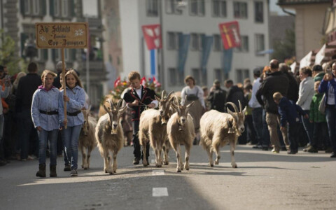 Enlebucher Alpabfahrt in Schüpfheim