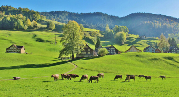 Landschaft im Sommer im Toggenburg