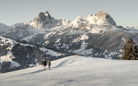 Gstaad, Videmanette, Restaurant, Tagesfahrt