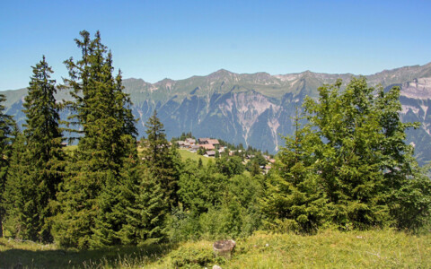 Panorama von der Axalp am Brienzersee
