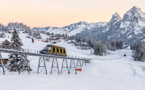 Ausflug auf den Stoos mit der steilsten Standseilbahn der Welt -  Tagesausflüge und Packages mit Abreise ab Olten, Basel, Aarau, Zofingen