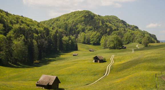 Wandern und Trekking in den Schweizer Bergen mit Wanderreiseleiter