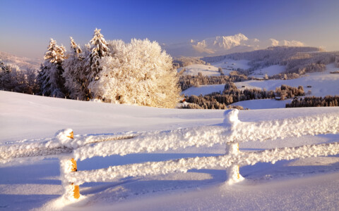Ein winterliches Panorama im Jura: Schneebedeckte Hügel und eine malerische Landschaft unter klarem Himmel. Entdecken Sie die ruhige Schönheit des Jura im Winter. Tagesausflug mit Born Reisen