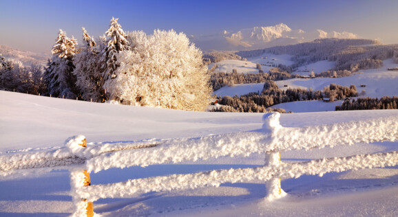 Ein winterliches Panorama im Jura: Schneebedeckte Hügel und eine malerische Landschaft unter klarem Himmel. Entdecken Sie die ruhige Schönheit des Jura im Winter. Tagesausflug mit Born Reisen