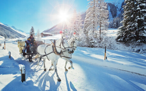 Pferdekutsche mit einer Gruppe in einer Winterlandschaft