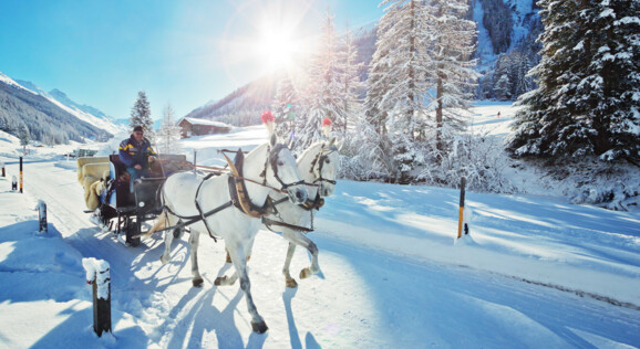 Pferdekutsche mit einer Gruppe in einer Winterlandschaft