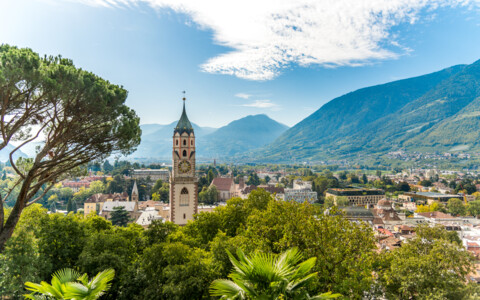Panoramablick über Meran mit mediterraner Vegetation und den Südtiroler Bergen im Hintergrund.
