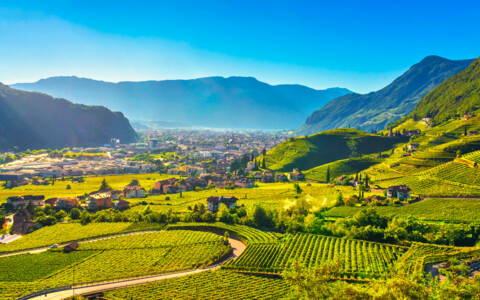 Weinberge rund um Bozen in Südtirol mit Blick auf das Tal und die umliegende Berglandschaft.