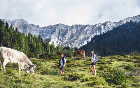 Aufenthaltsferien in Seefeld mit Busanreise ab der Schweiz - geniessen Sie die Wanderregion Seefeld